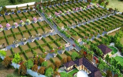 Express City Plots
