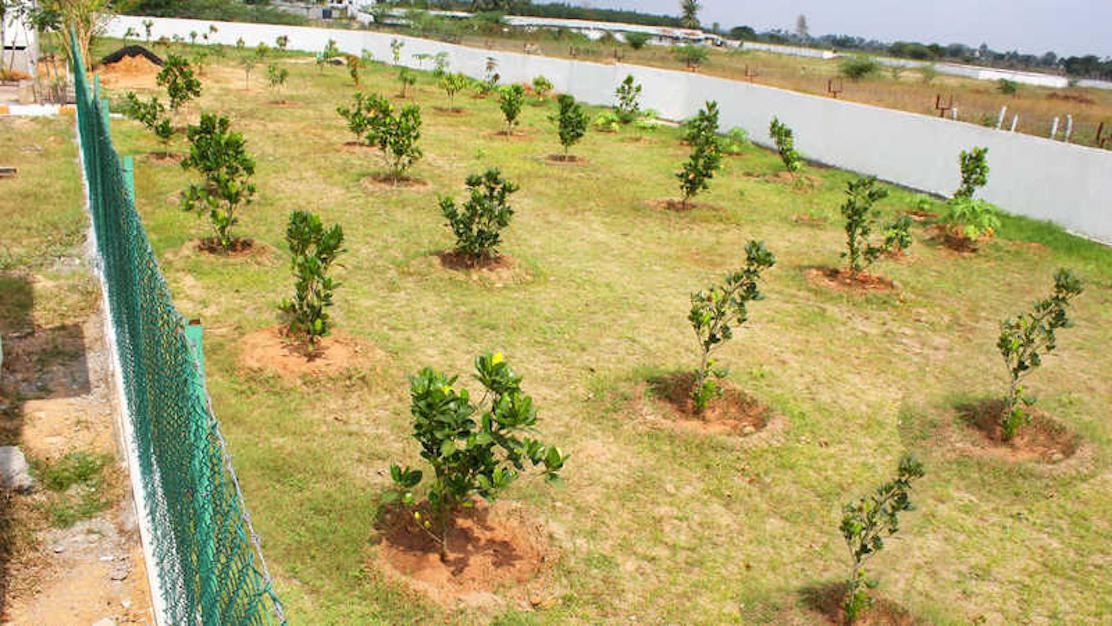  suncity-plots Elevation