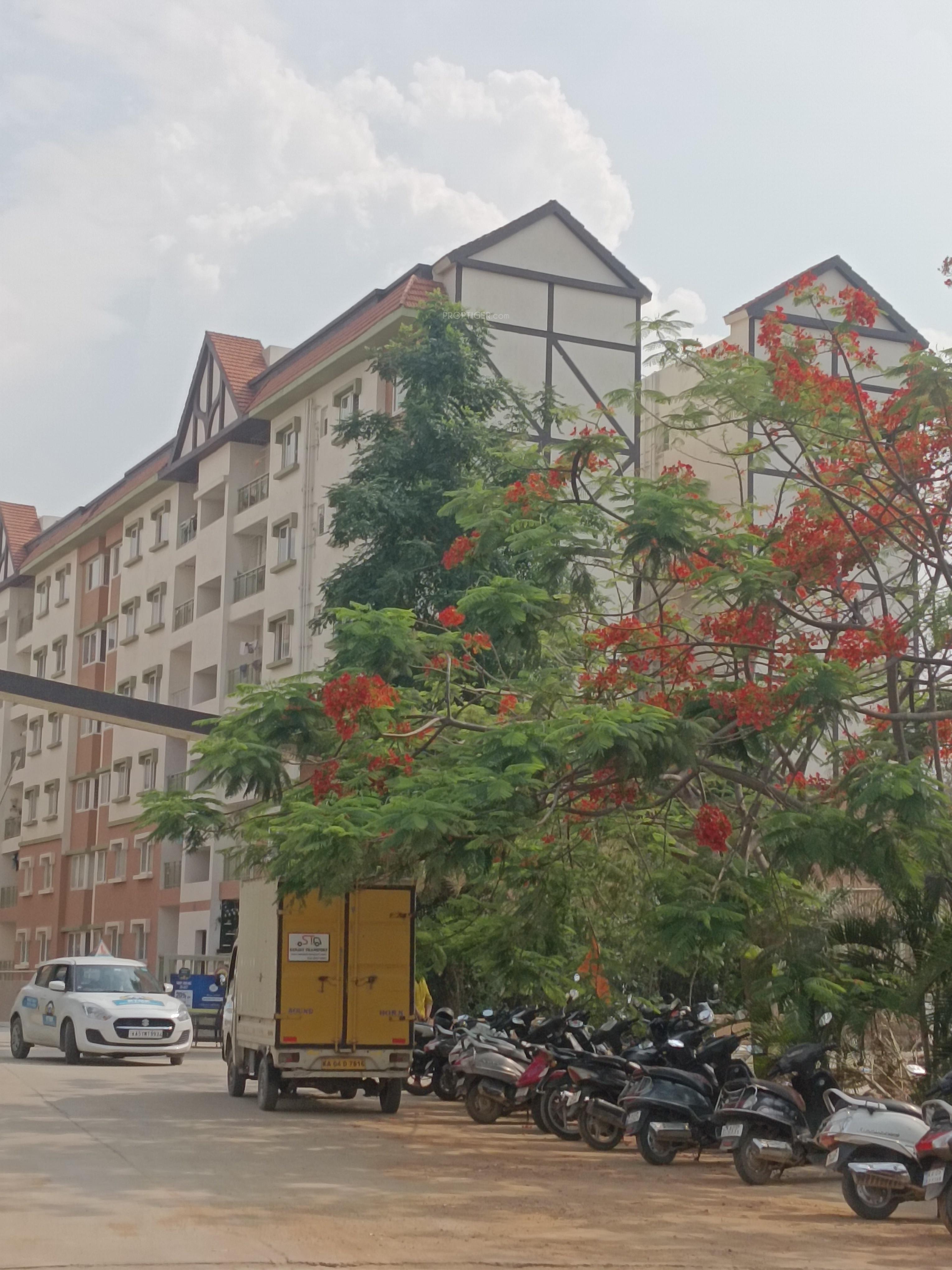  hamilton-homes Elevation