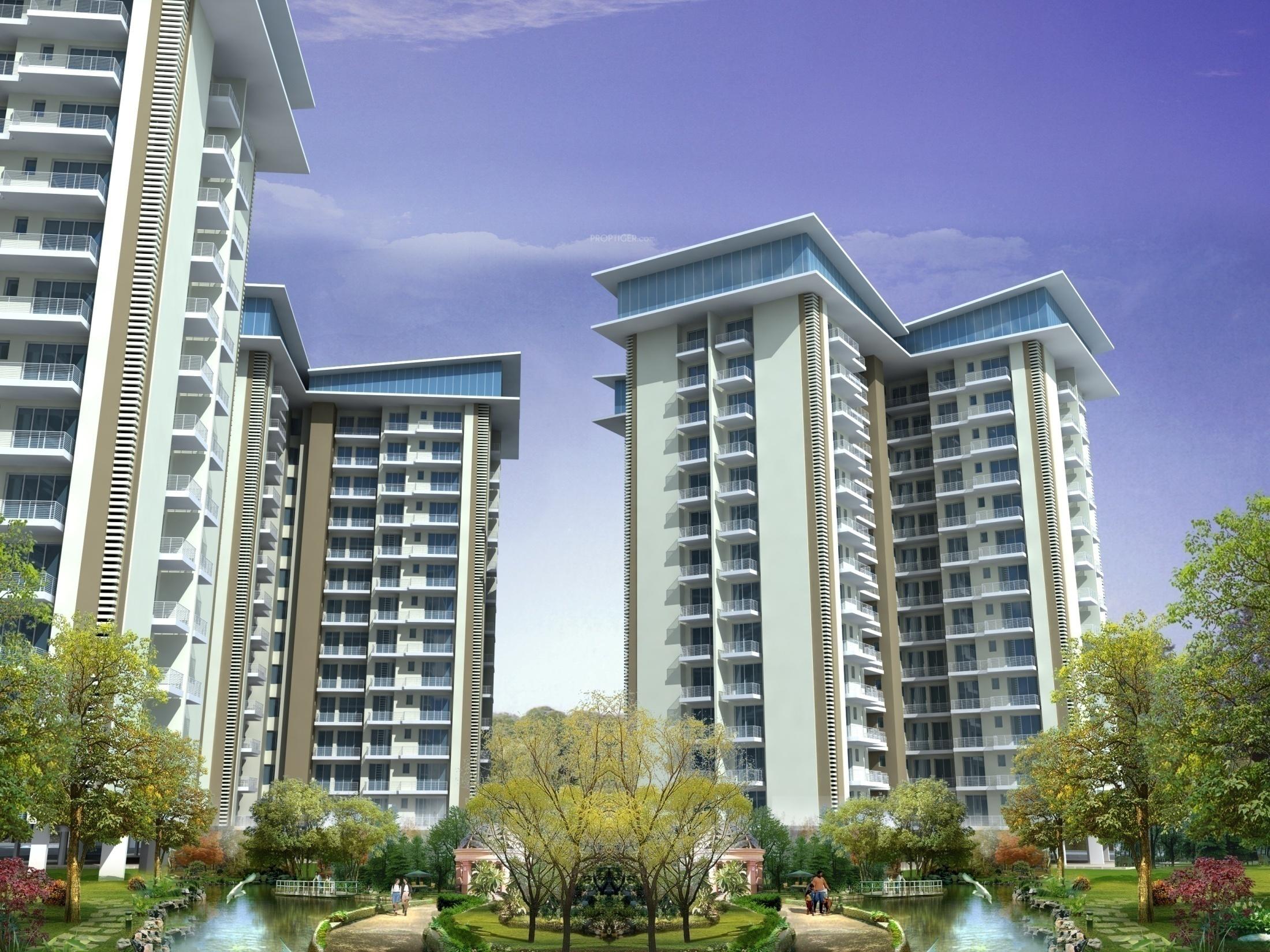 Images for Elevation of Splendor Grande