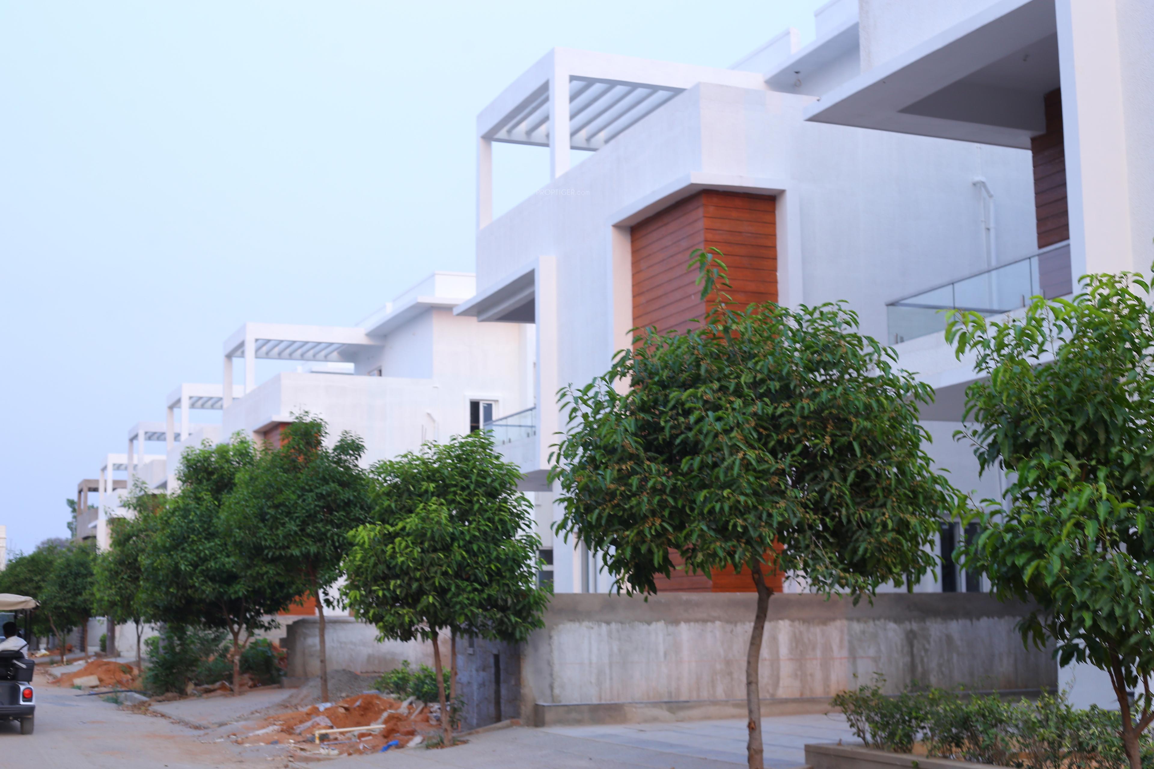  sanjivini Elevation