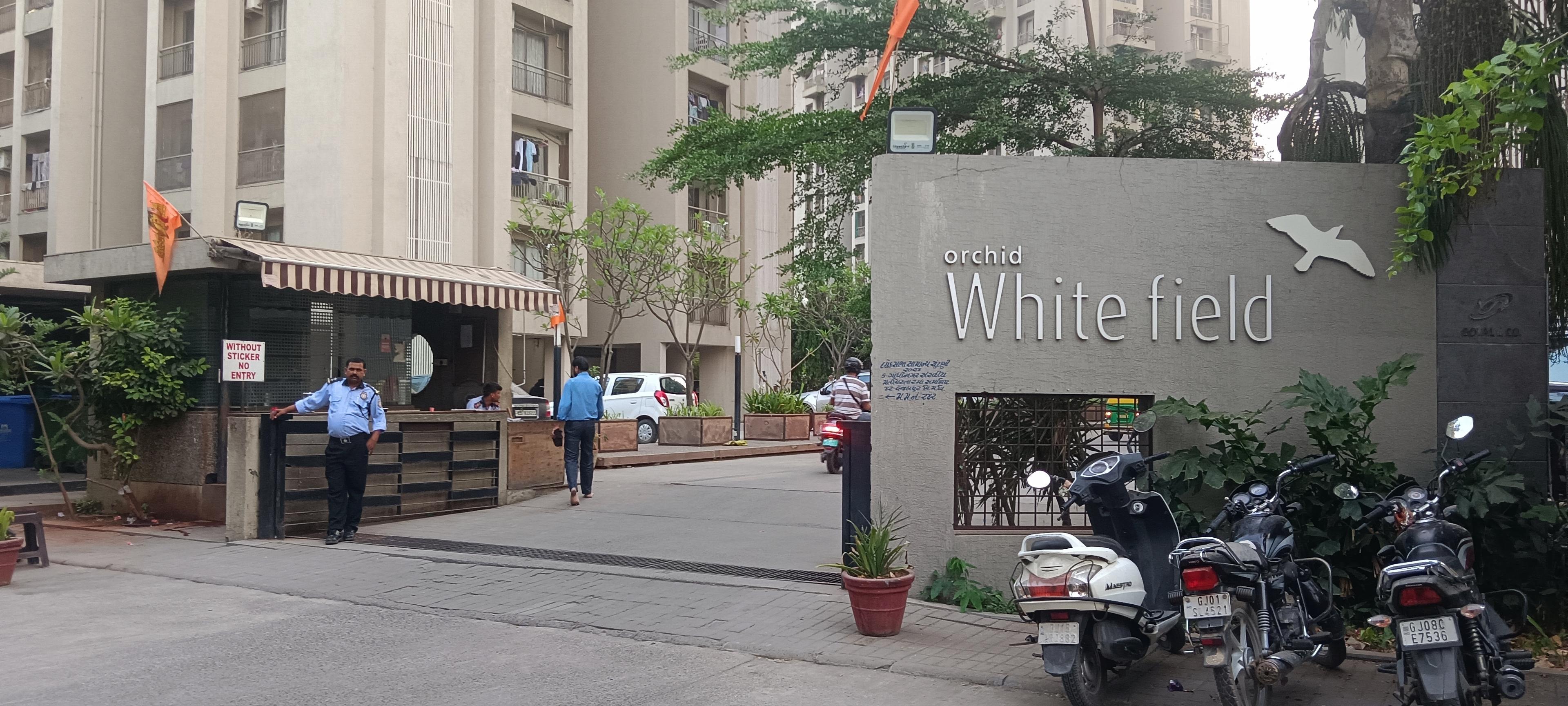 Orchid Whitefield