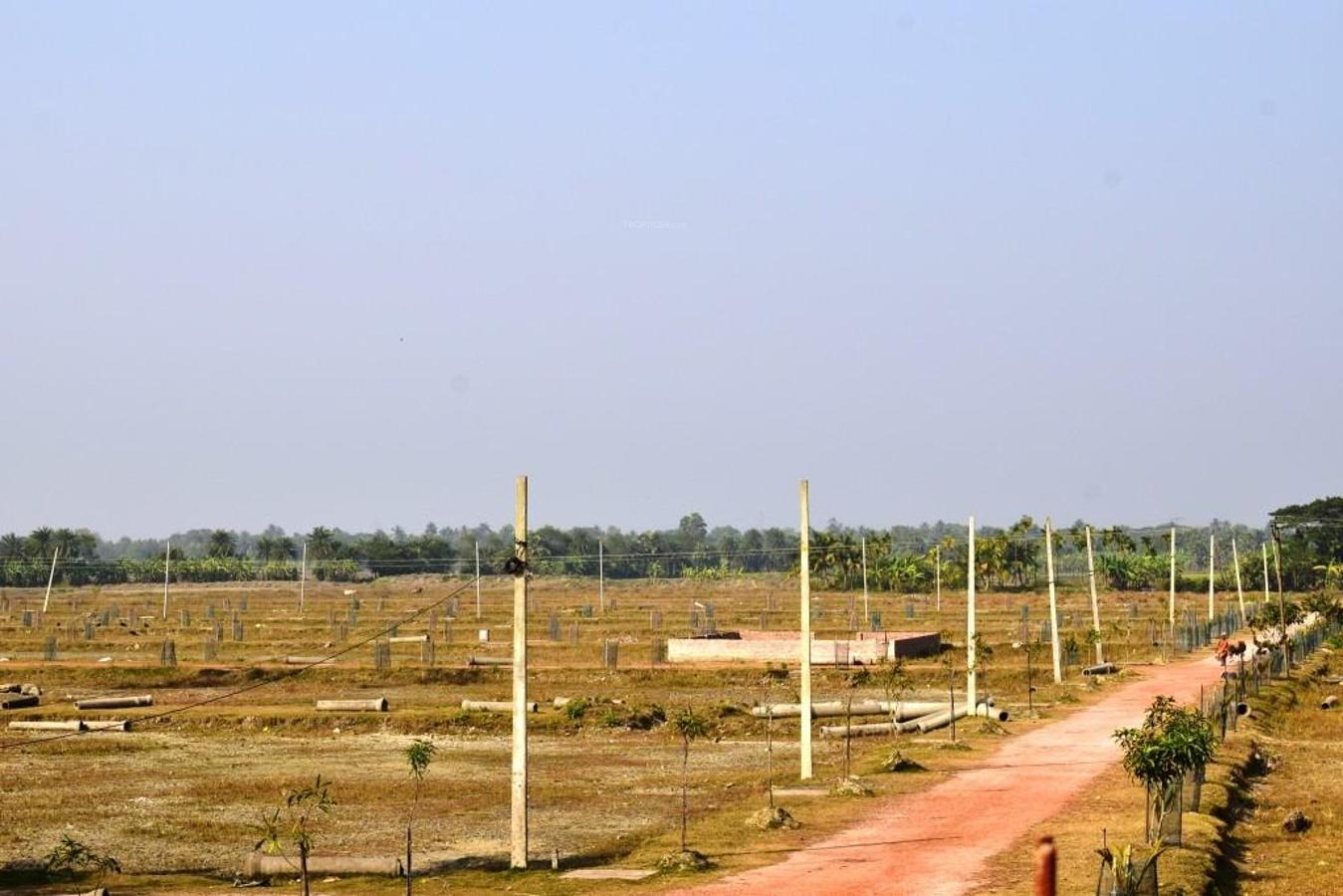 Satya Park