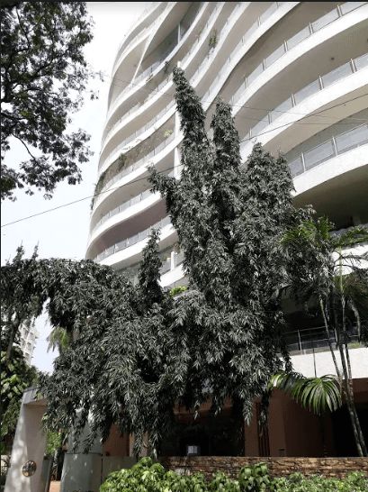  akshay-anand Elevation