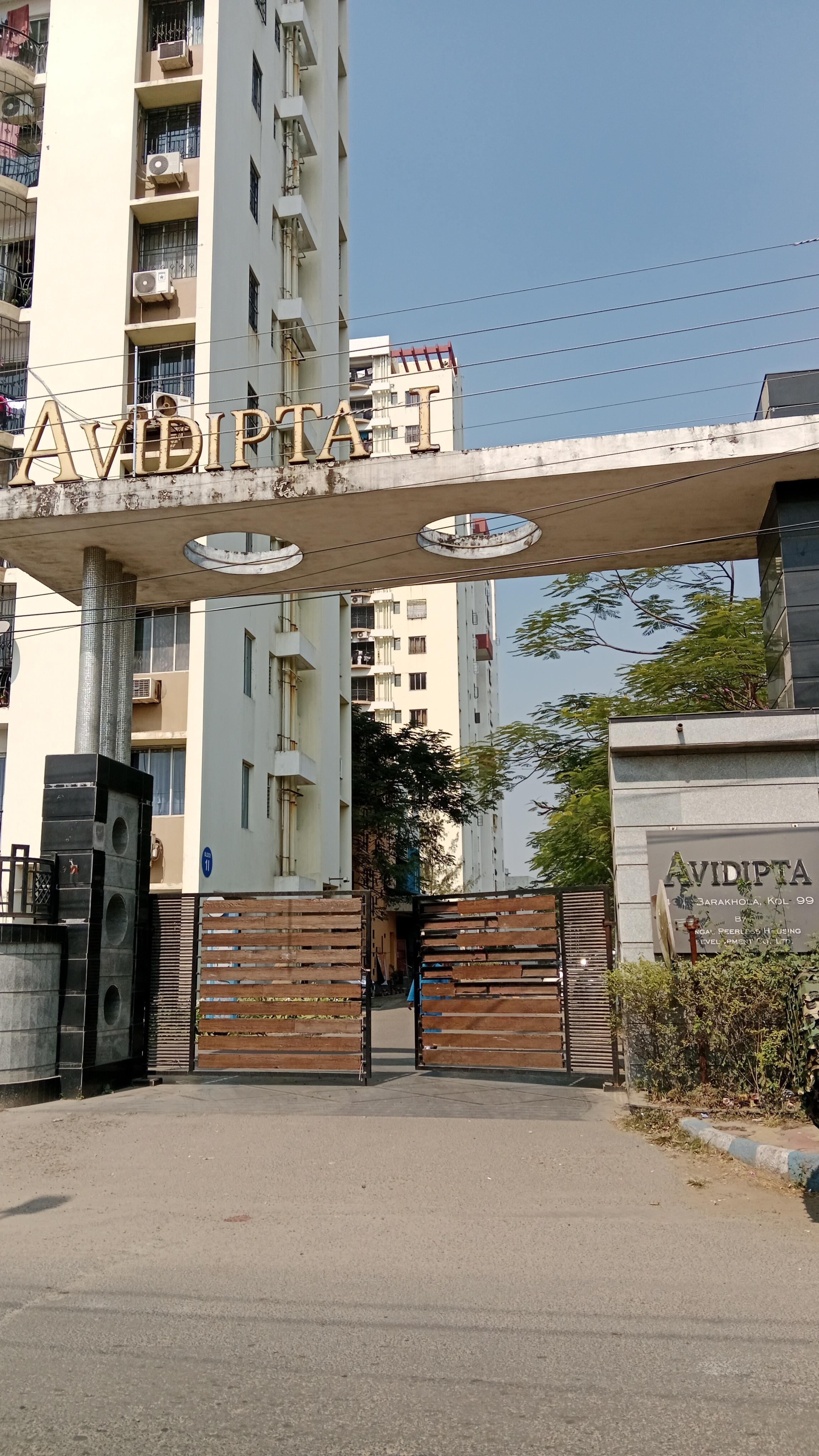  avidipta Elevation