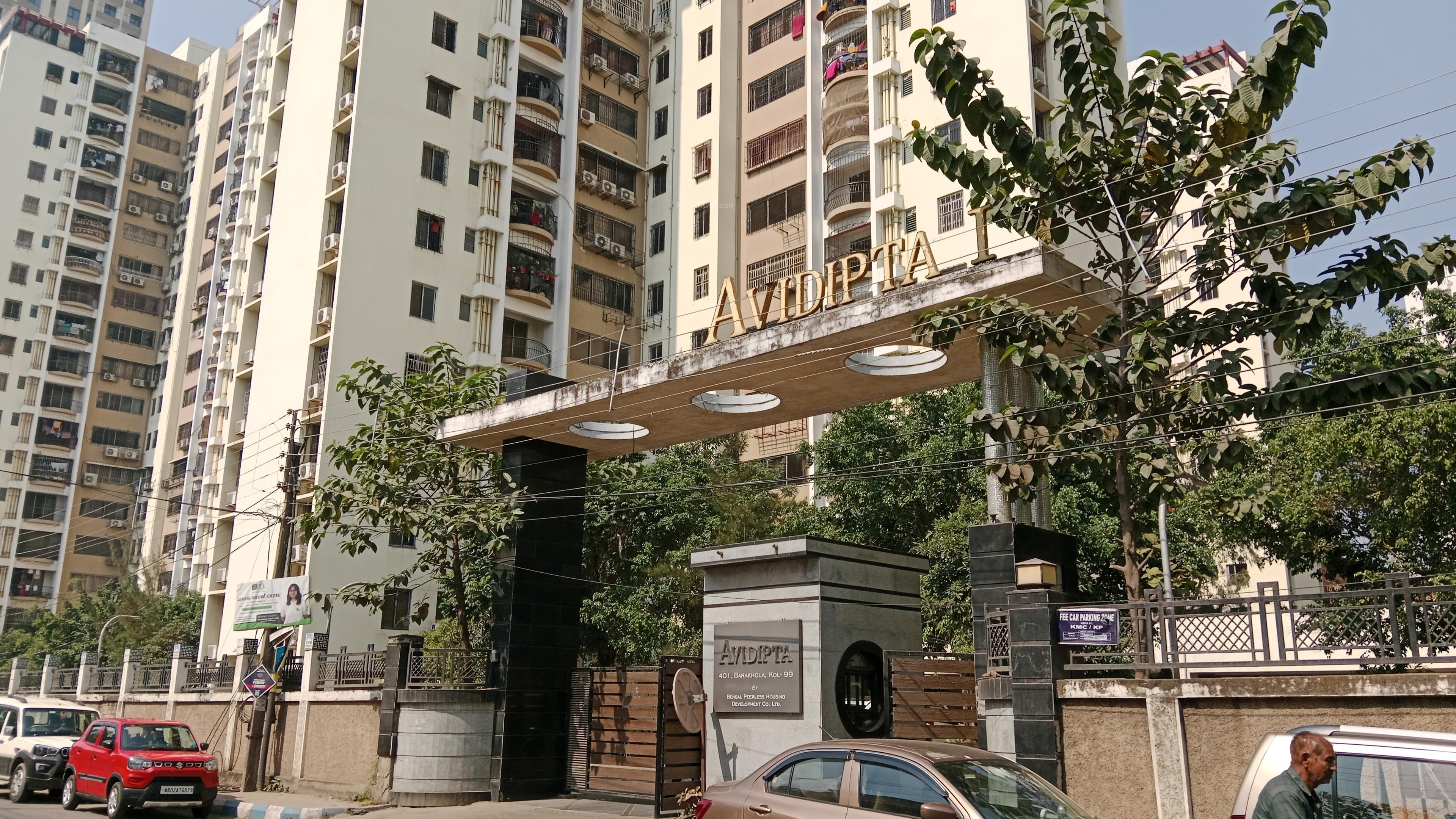  avidipta Elevation