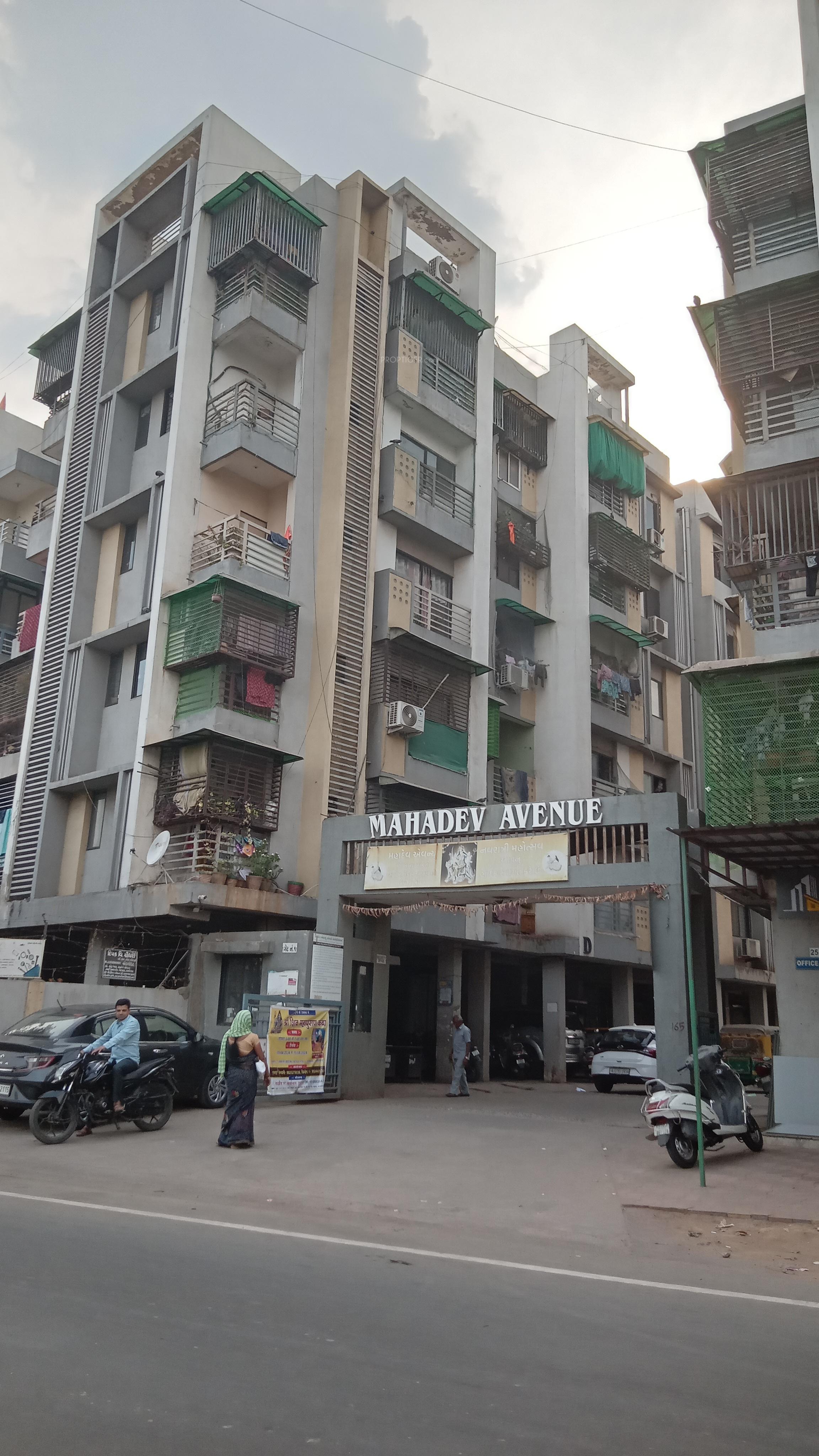  avenue Elevation