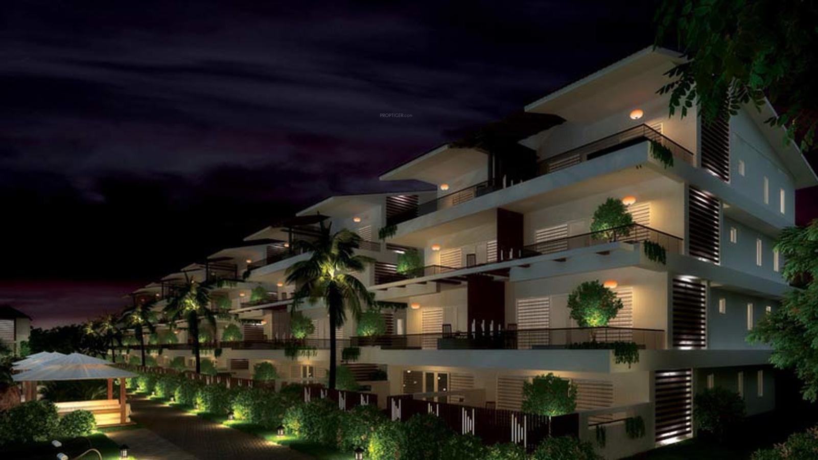 Images for Elevation of Aaress The Eternal Wave