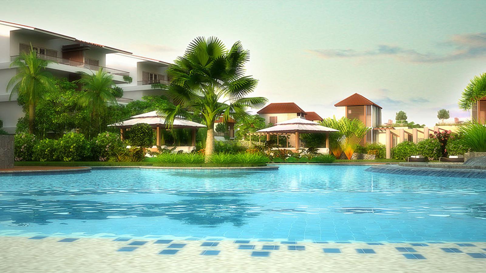 Images for Elevation of Aaress The Eternal Wave