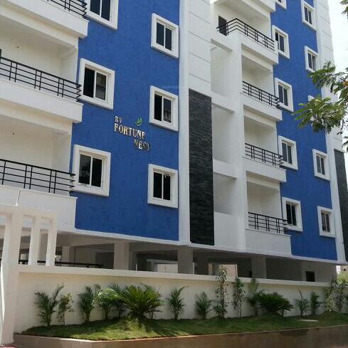  fortune-nest Elevation