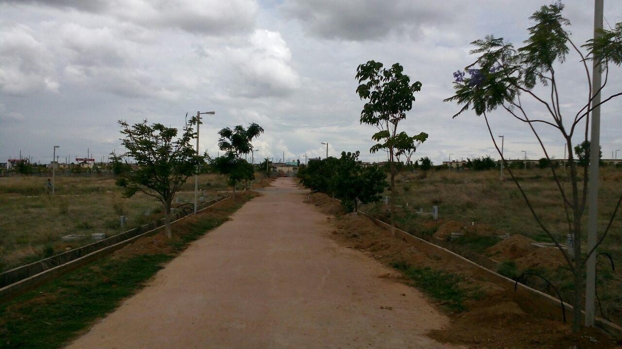  rainseed Elevation