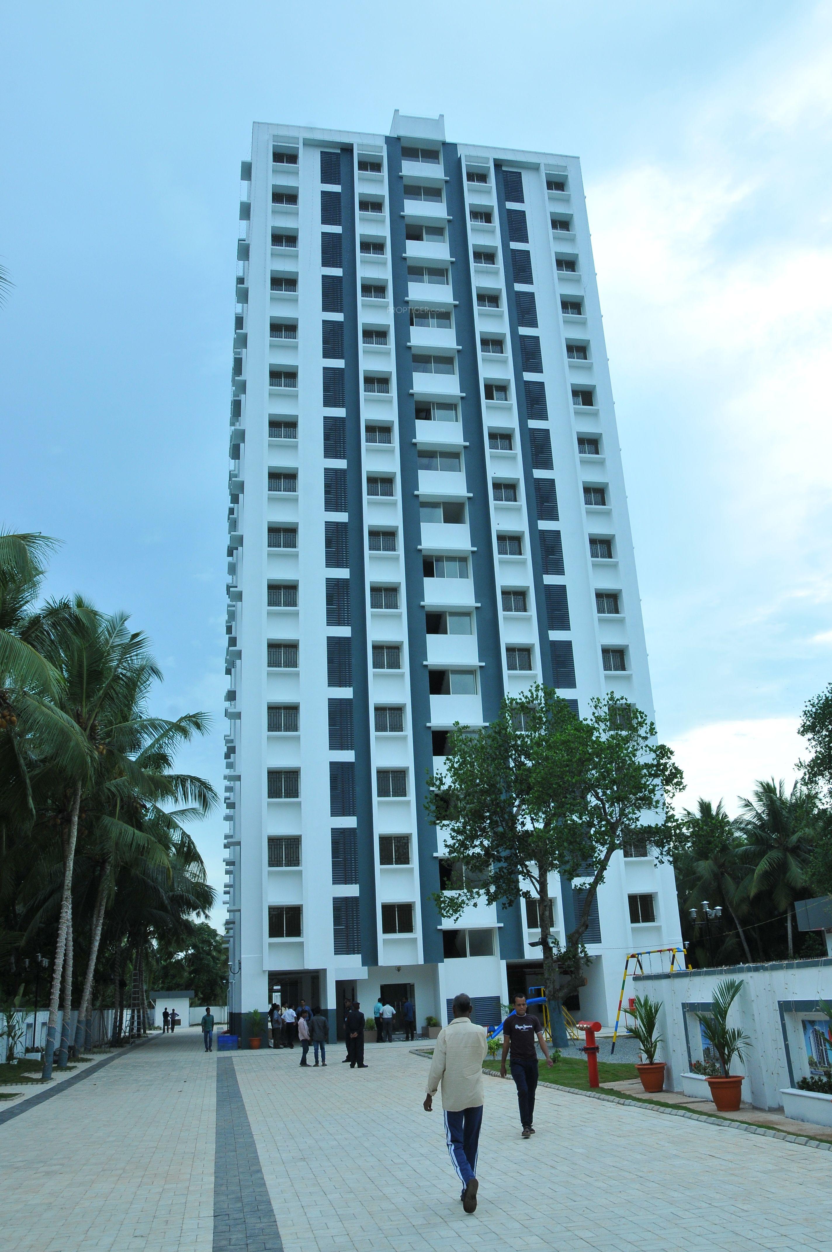 Images for Elevation of Confident Phoenix III