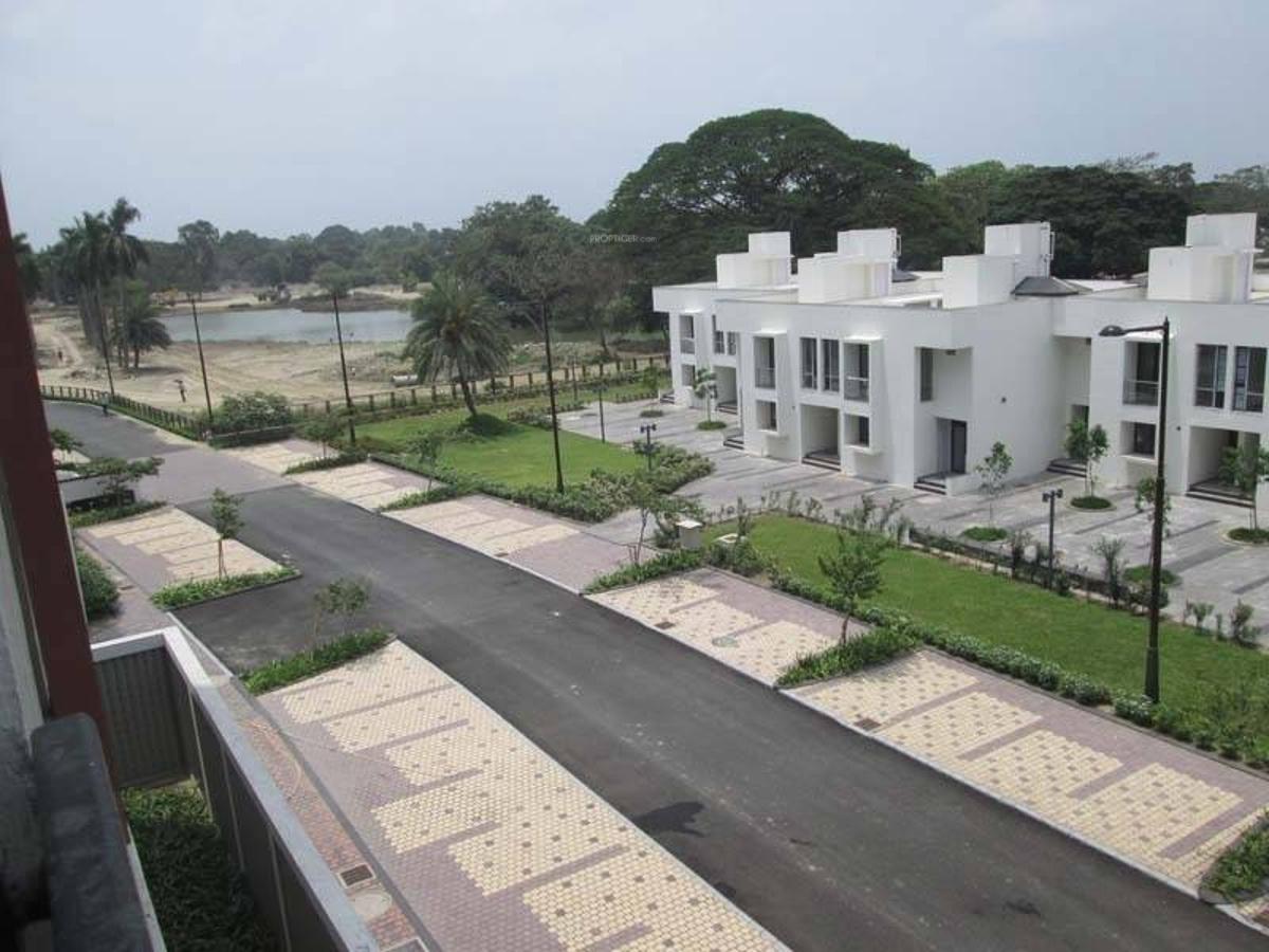 Mandeville