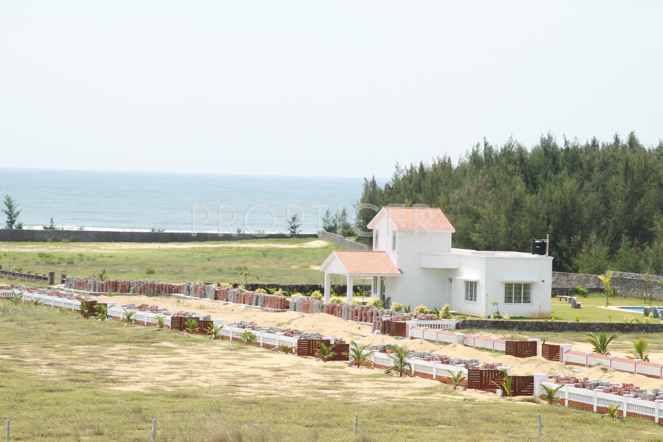 Pearl Beach