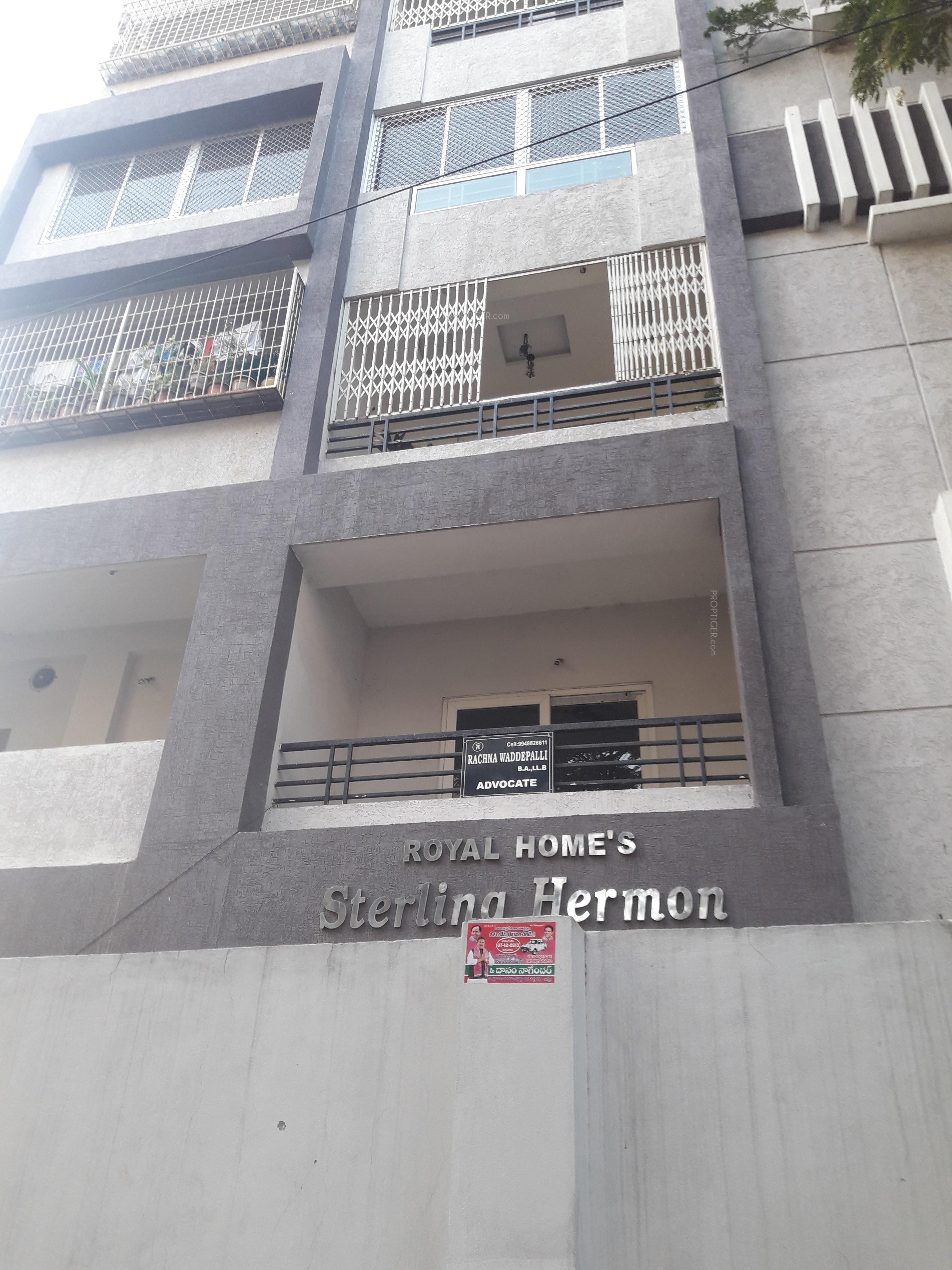  sterling-hermon Elevation