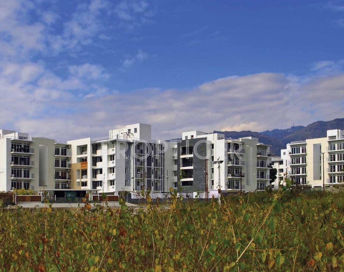 Images for Elevation of Conscient Infrastructure Arborea