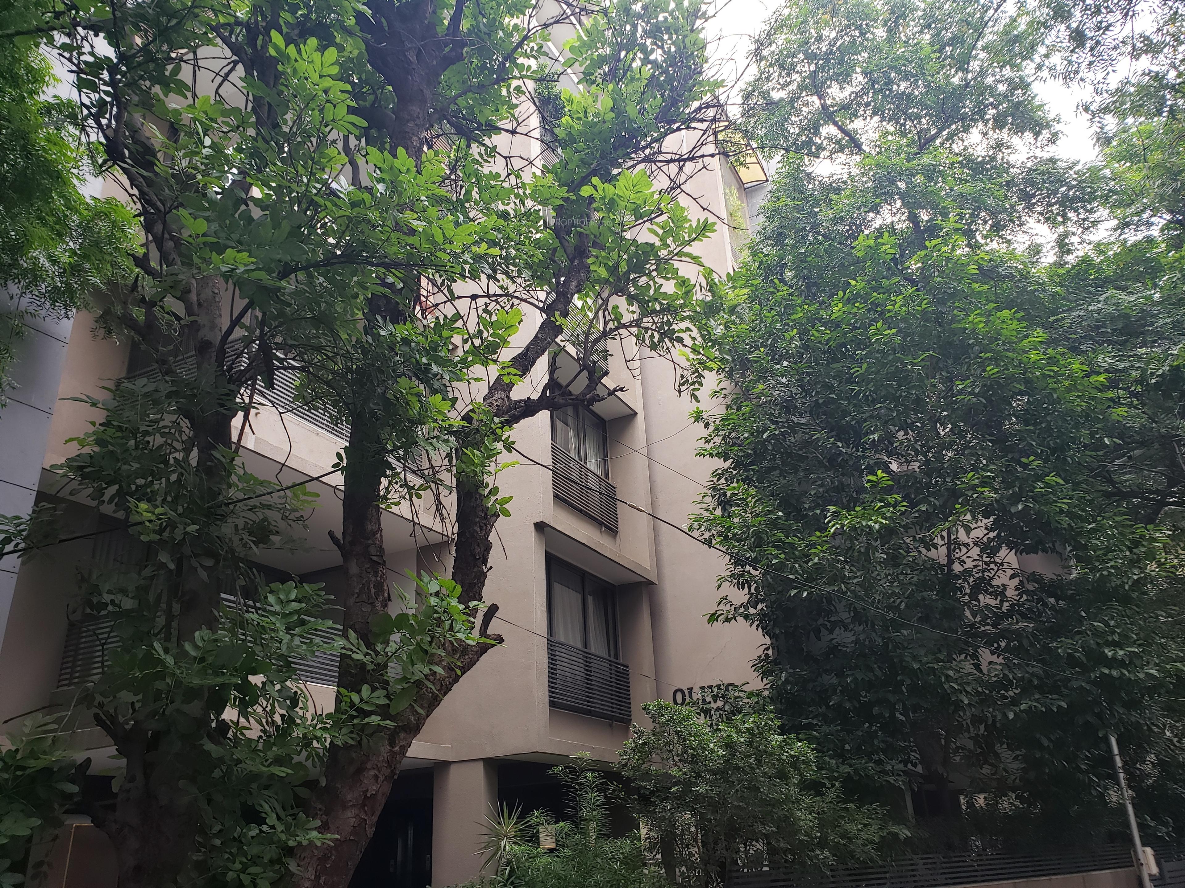  heights-ii Elevation