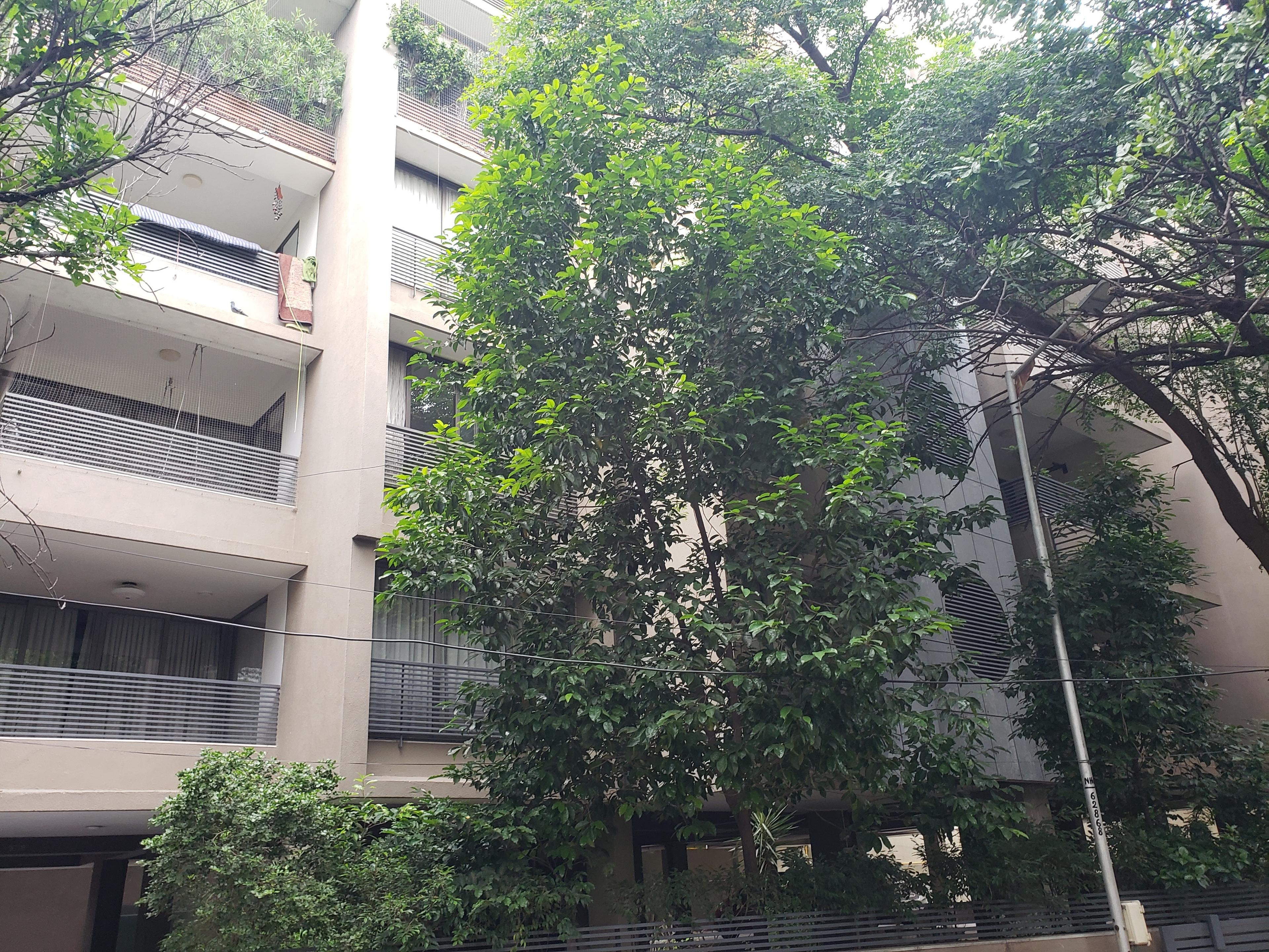  heights-ii Elevation