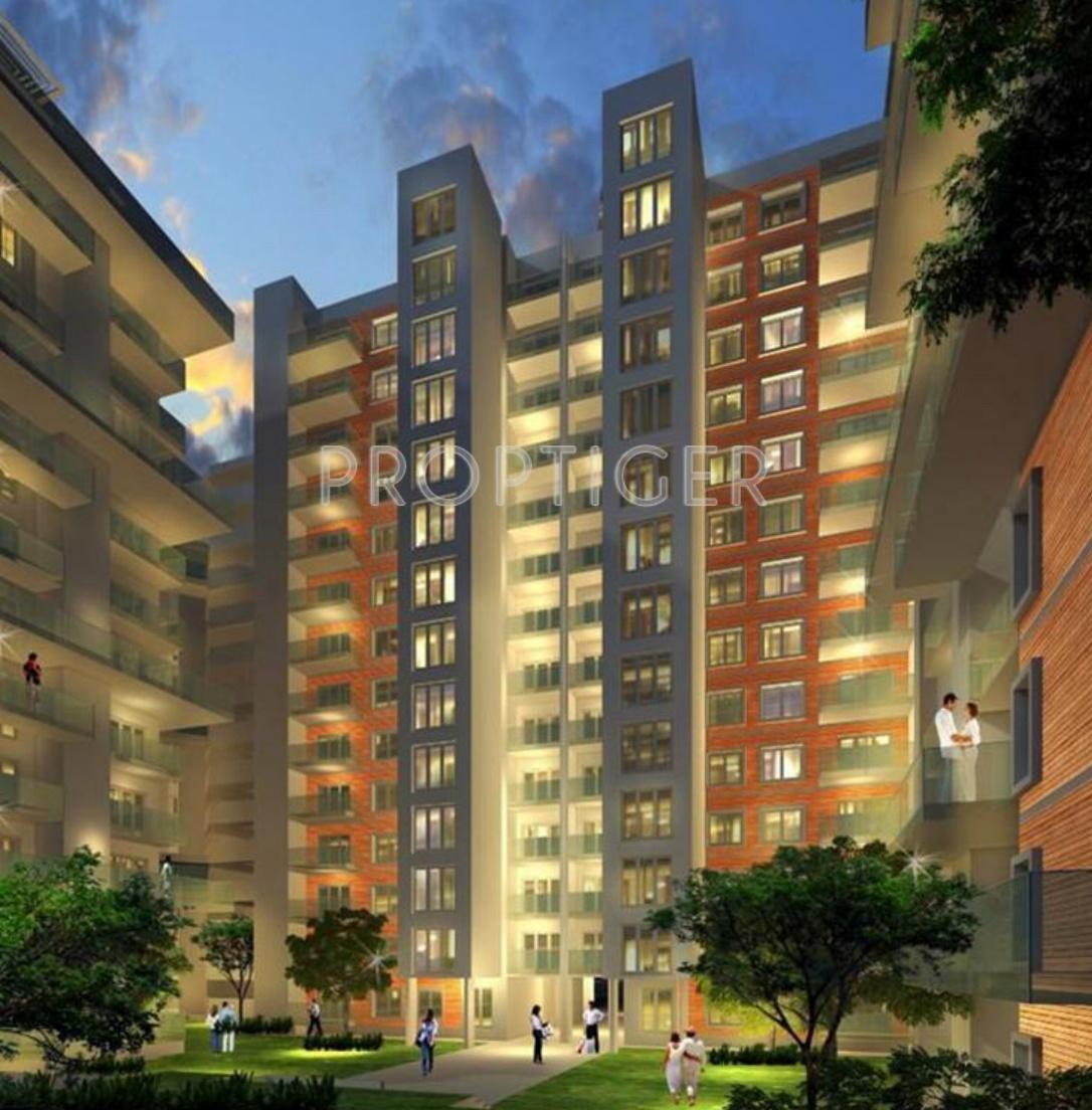  tiara Images for Elevation of Vajram Tiara