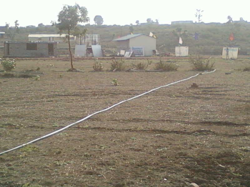  7th-mile Plot