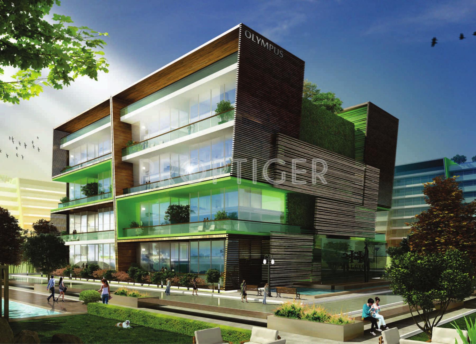 Images for Elevation of Phoenix Halcyon