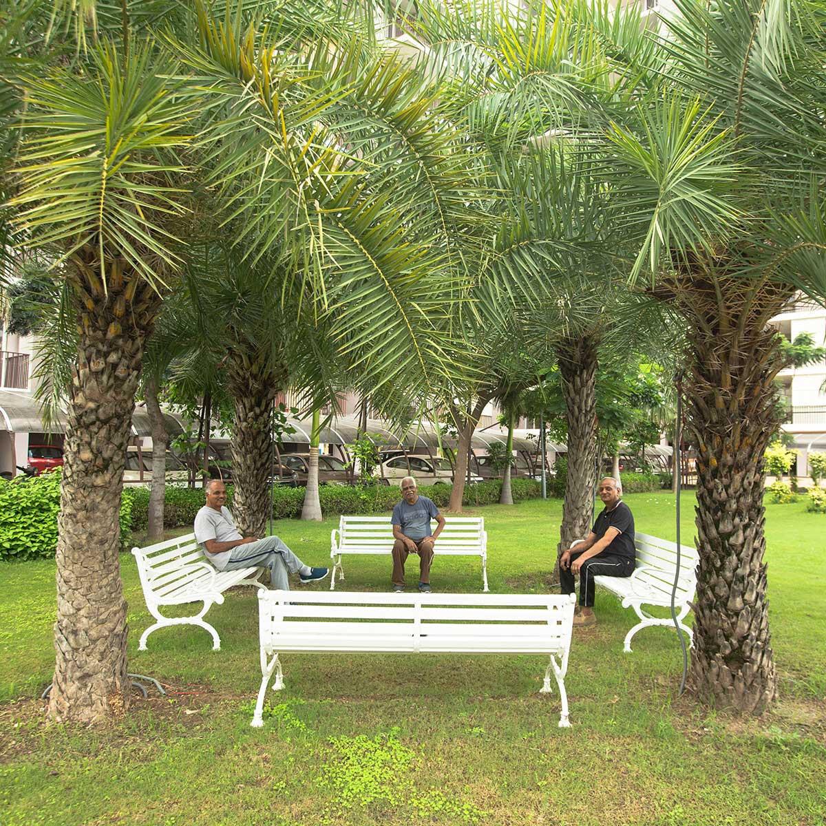  city Senior Citizen Sitout