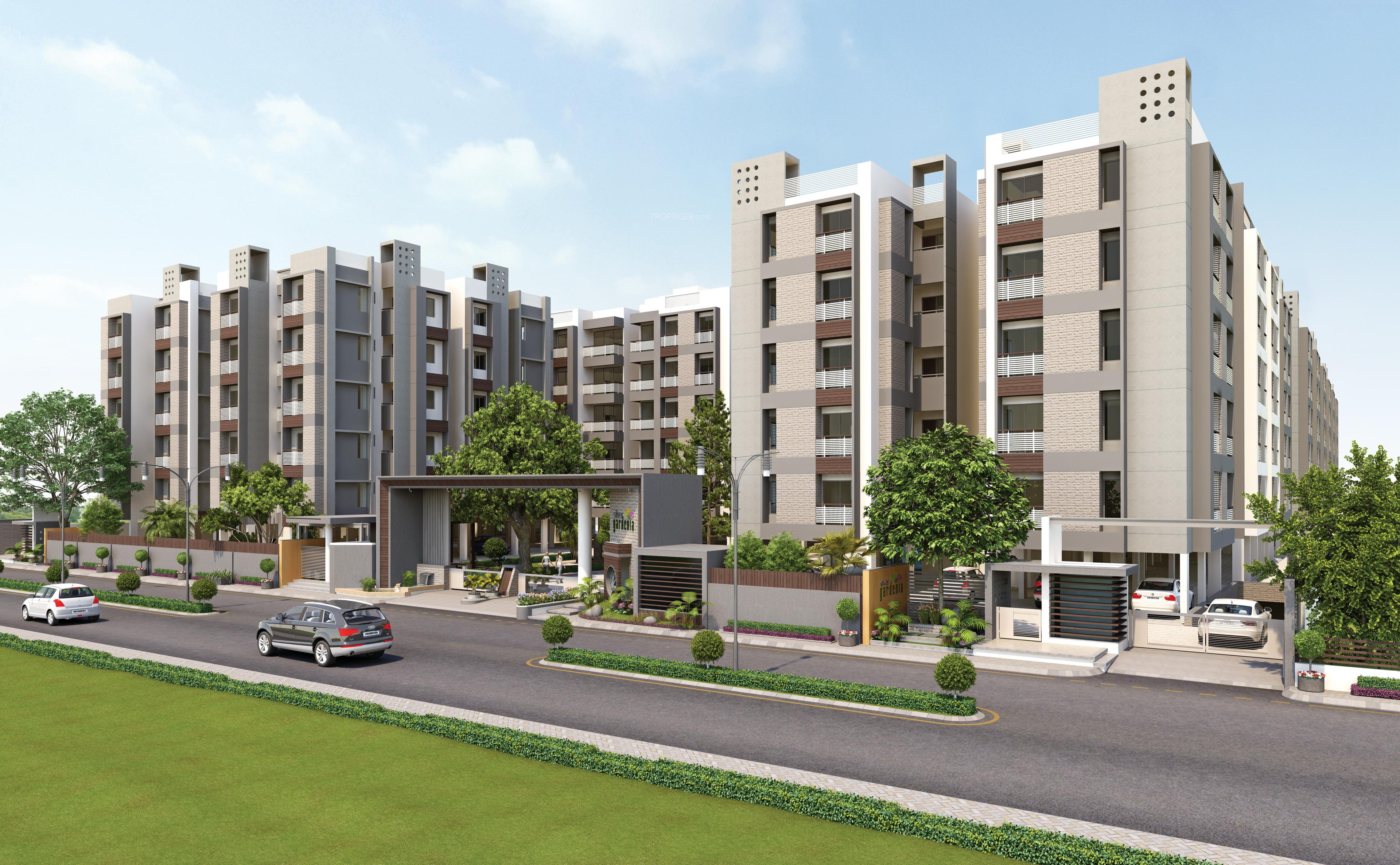  silver-gardenia Elevation