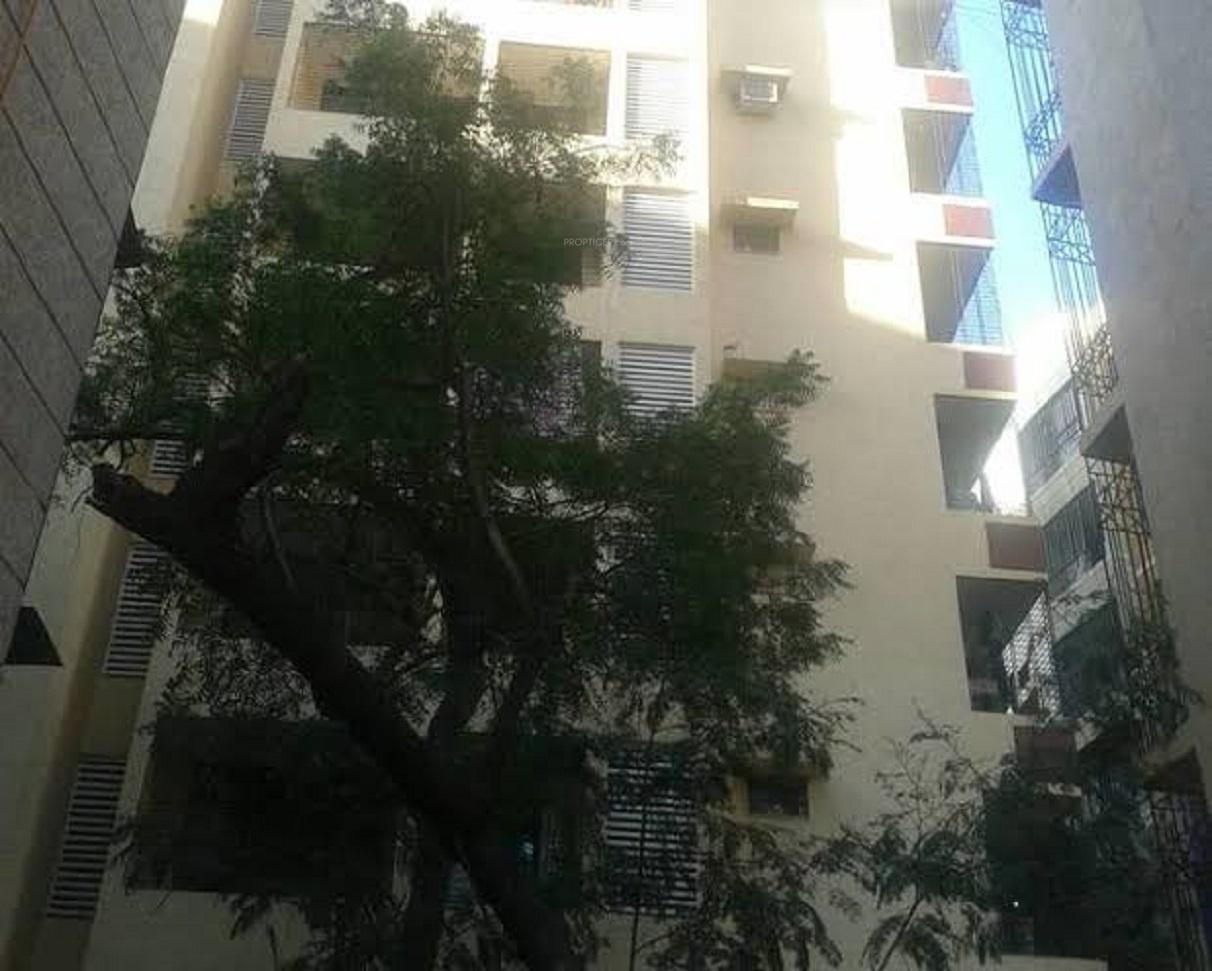  orchid-court Elevation