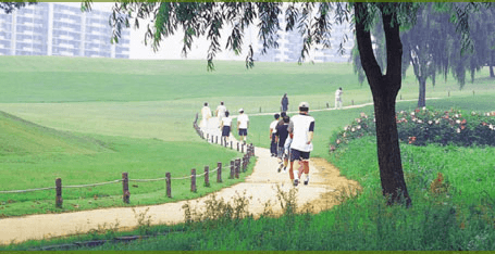  gachibowli-county-vi Landscaped Gardens