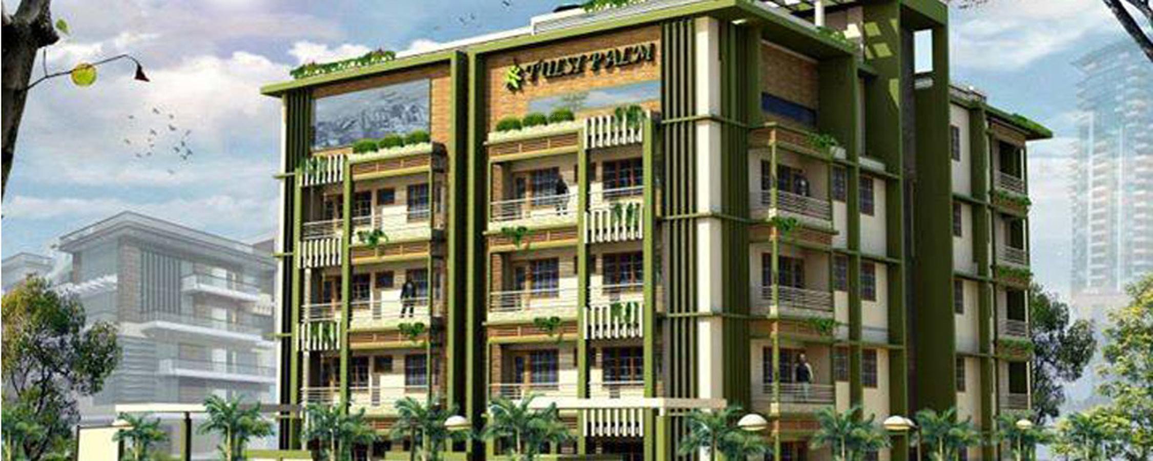  tulsi-palm Elevation