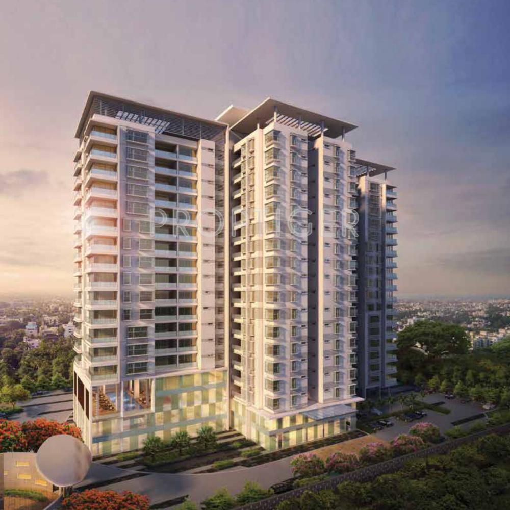 Images for Elevation of TVH Quadrant