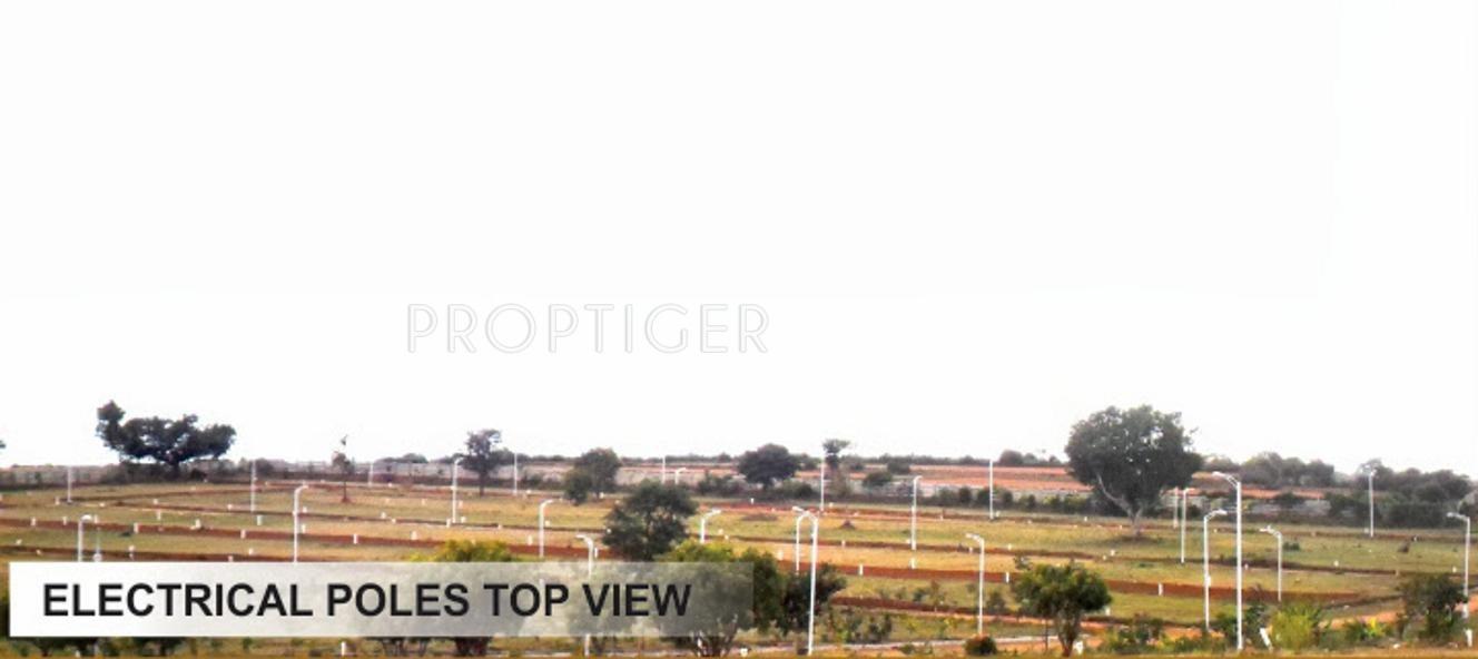 Nice Vistas Plots