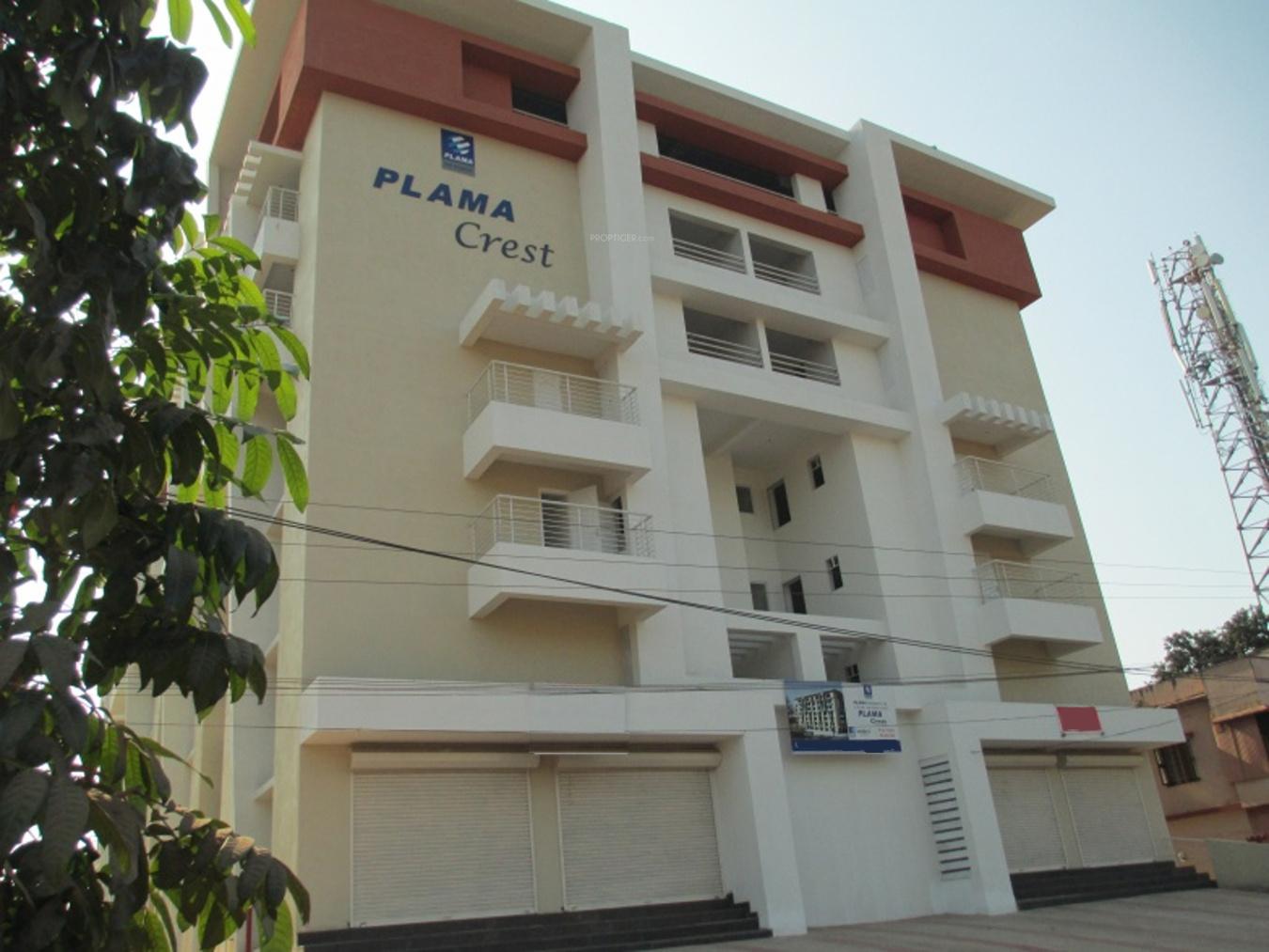 Images for Elevation of Plama Crest