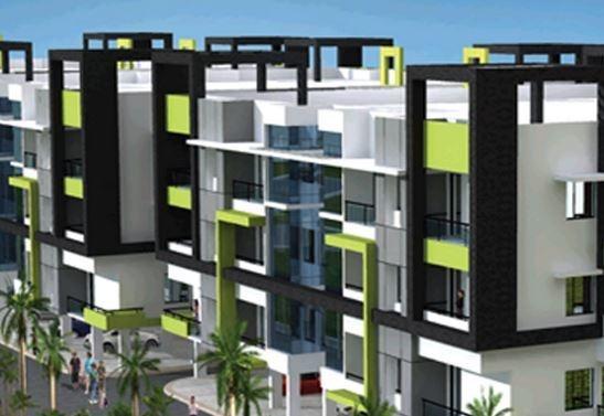  exotica Elevation