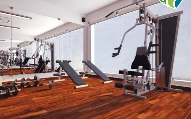 the-serenade Gymnasium