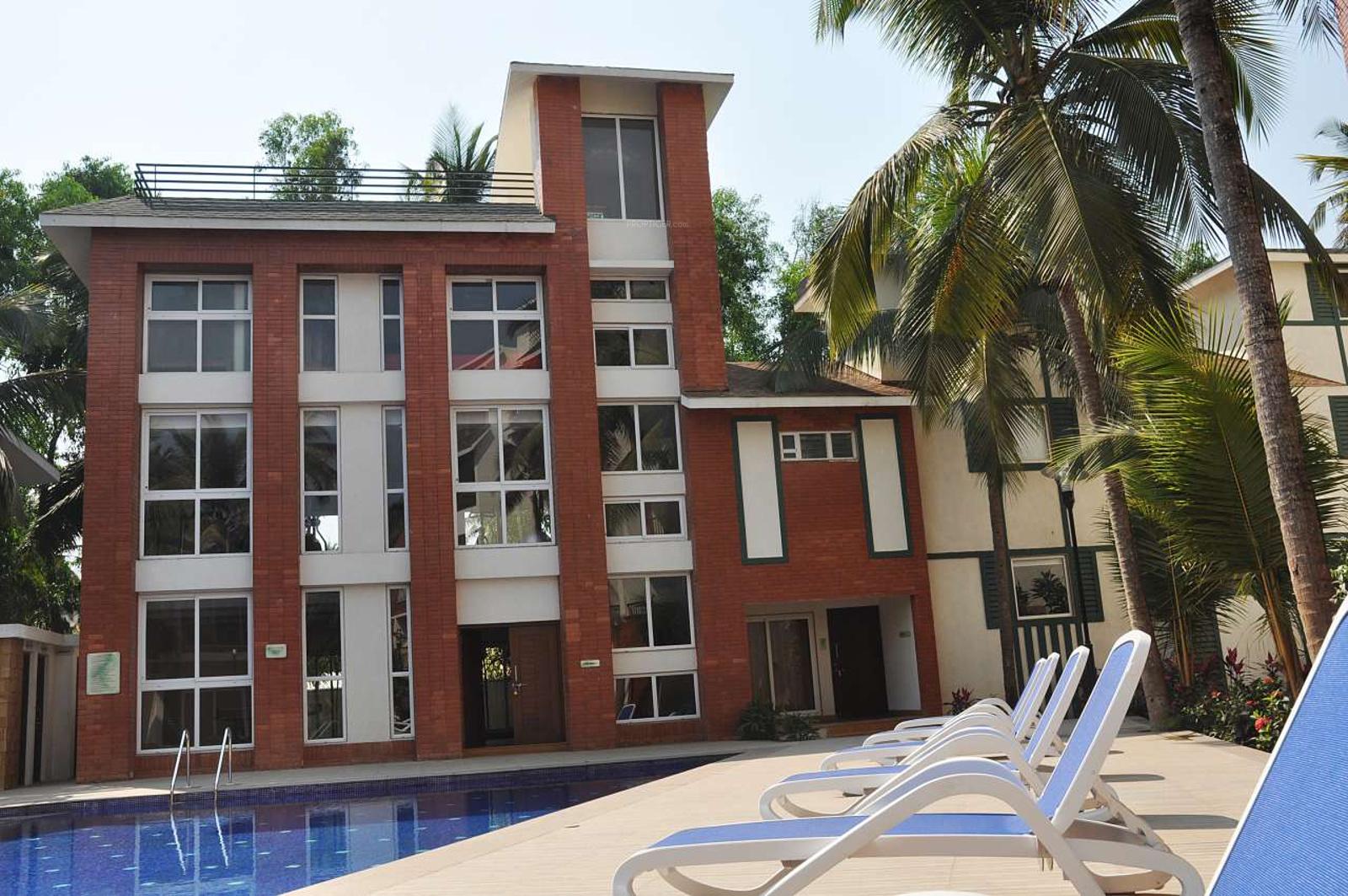  exotica Elevation