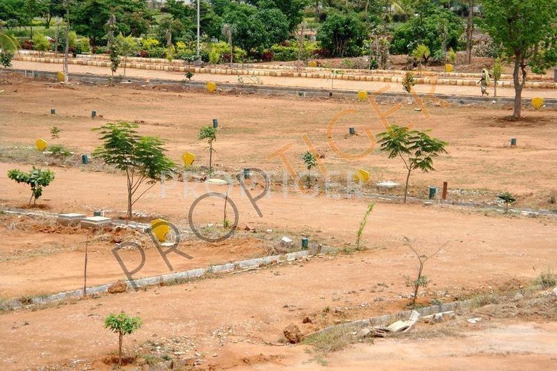 Images for Elevation of City Metro Homes