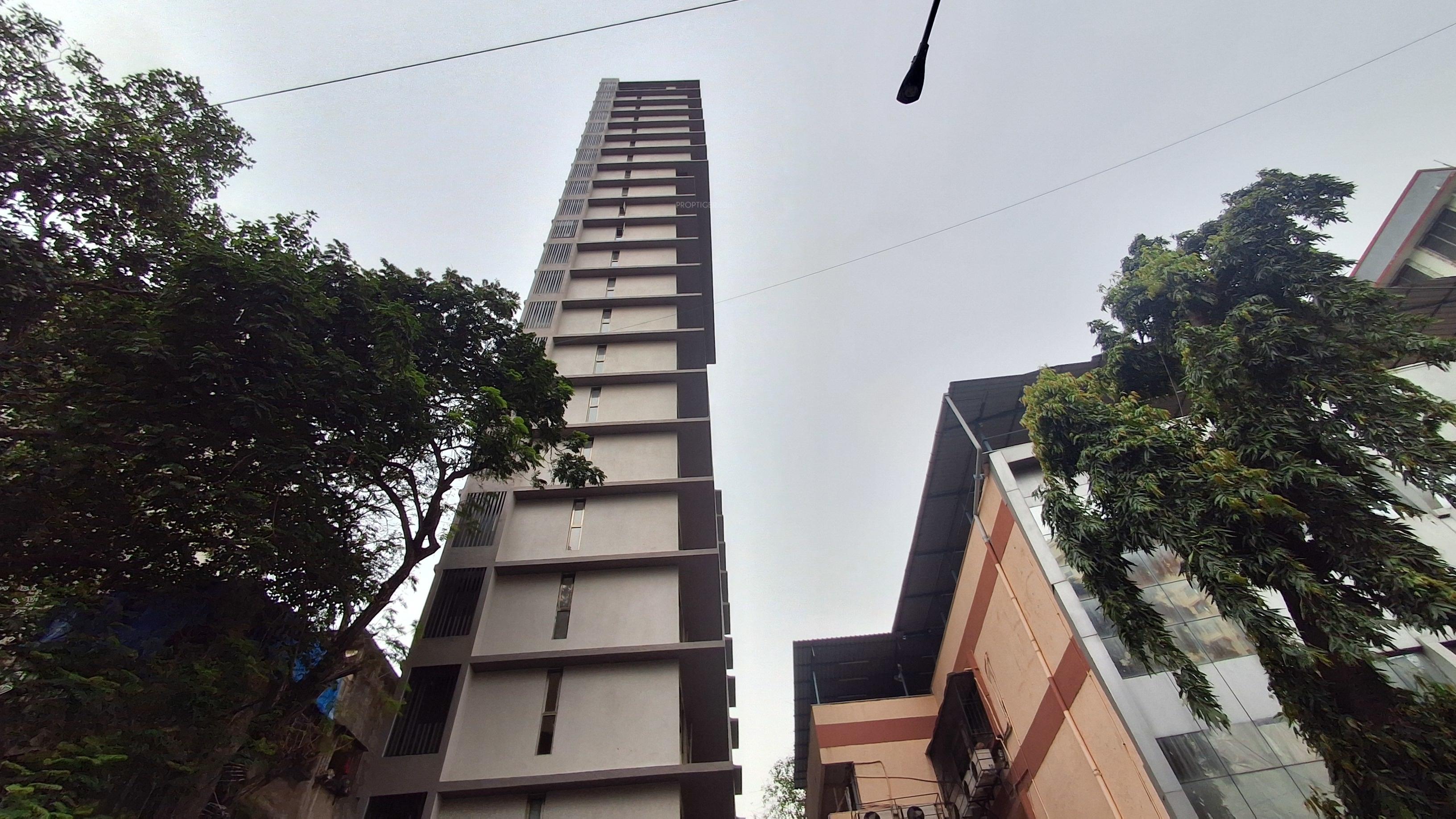  xenus-phase-1 Elevation