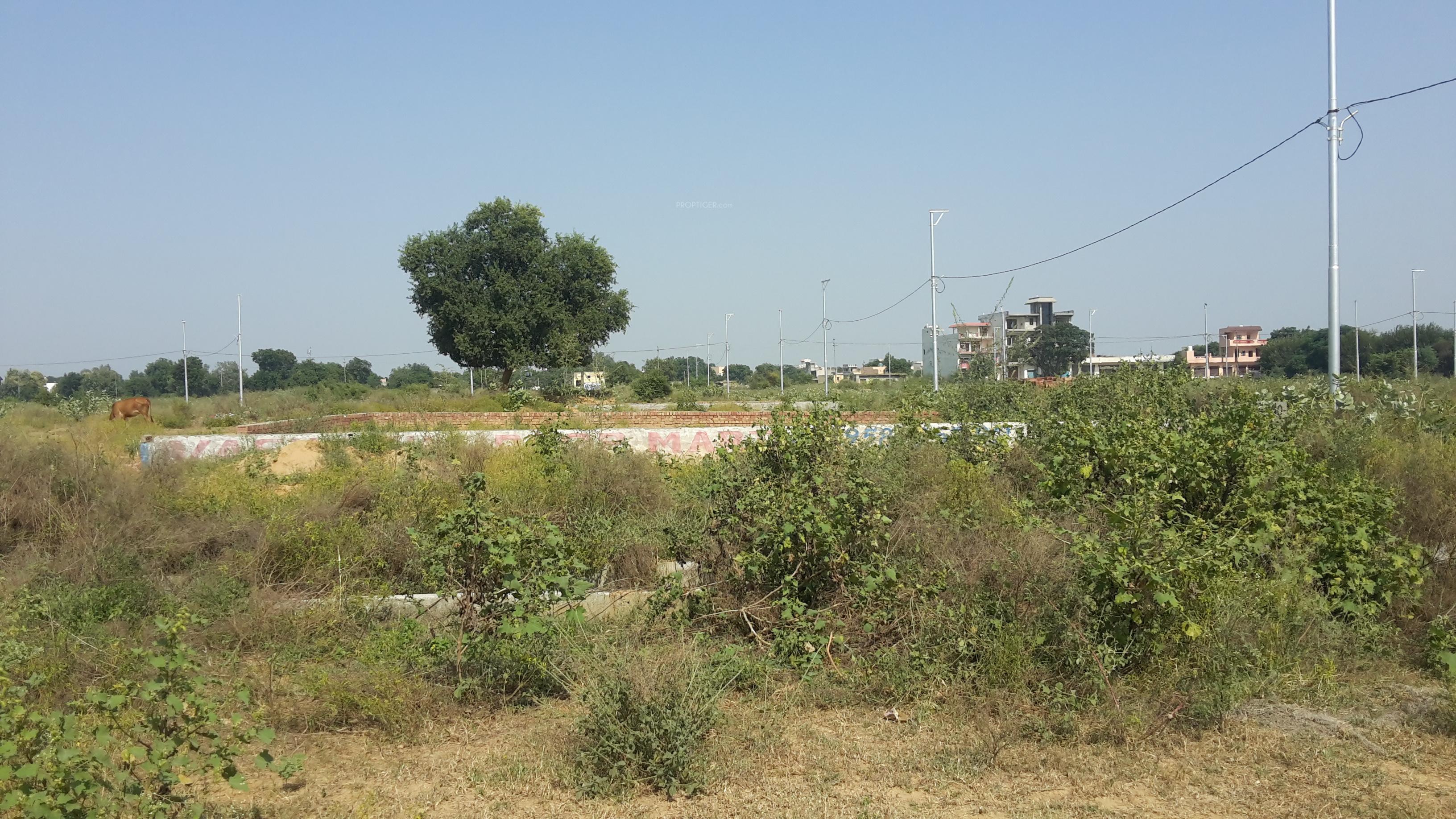 Shyam Enclave