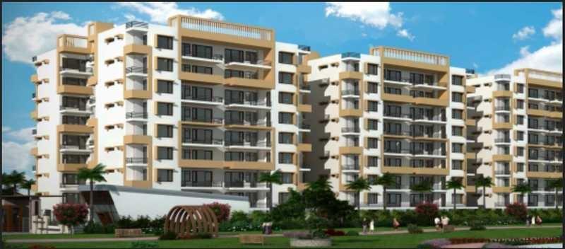 maple-apartments Elevation