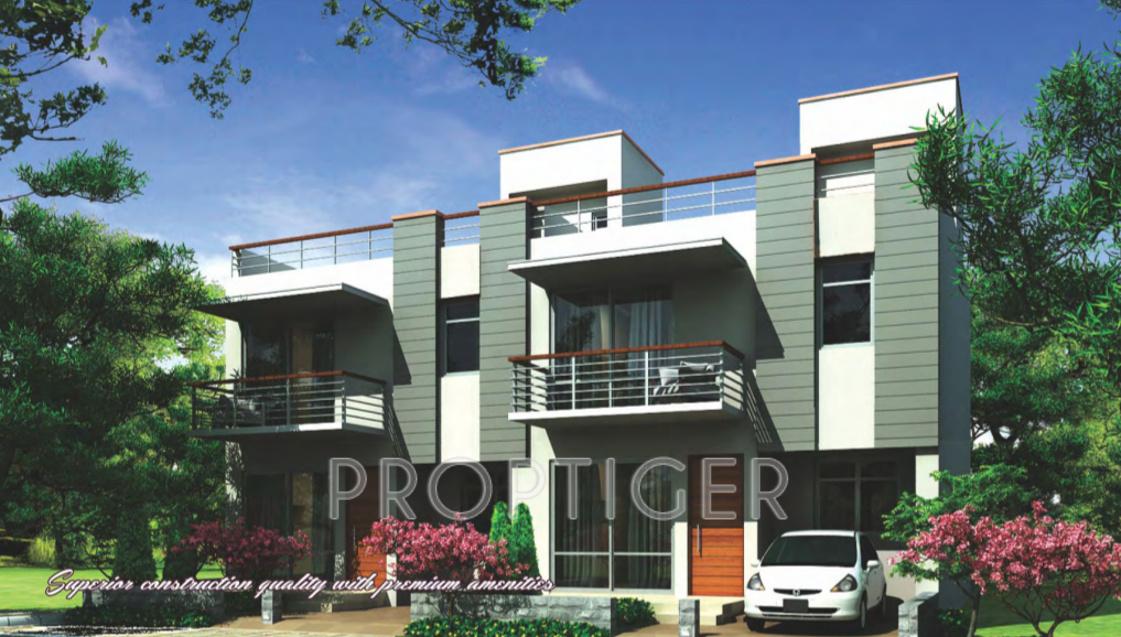 Images for Elevation of Ireo Oyster Floor