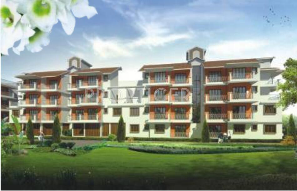 Images for Elevation of Saldanha Orchid