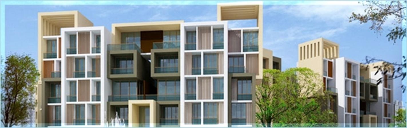 Amity Apartments