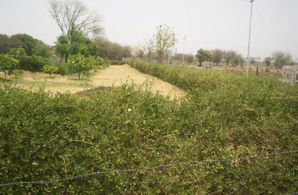 Images for Amenities of Parsvnath Narayan City