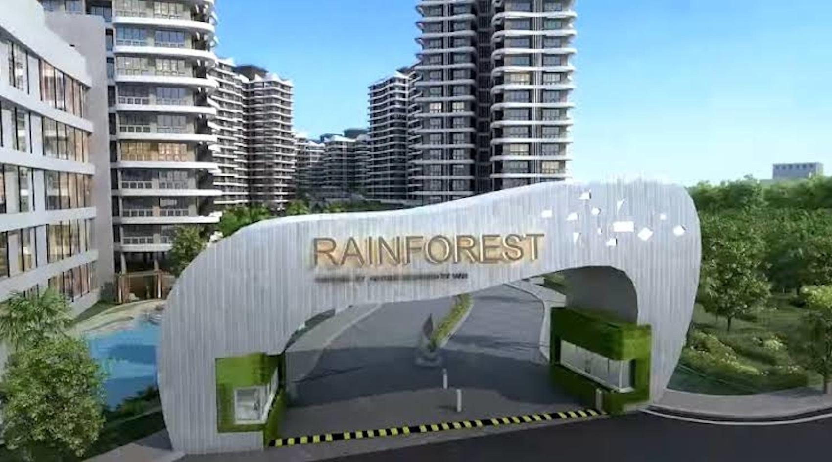  rain-forest Elevation