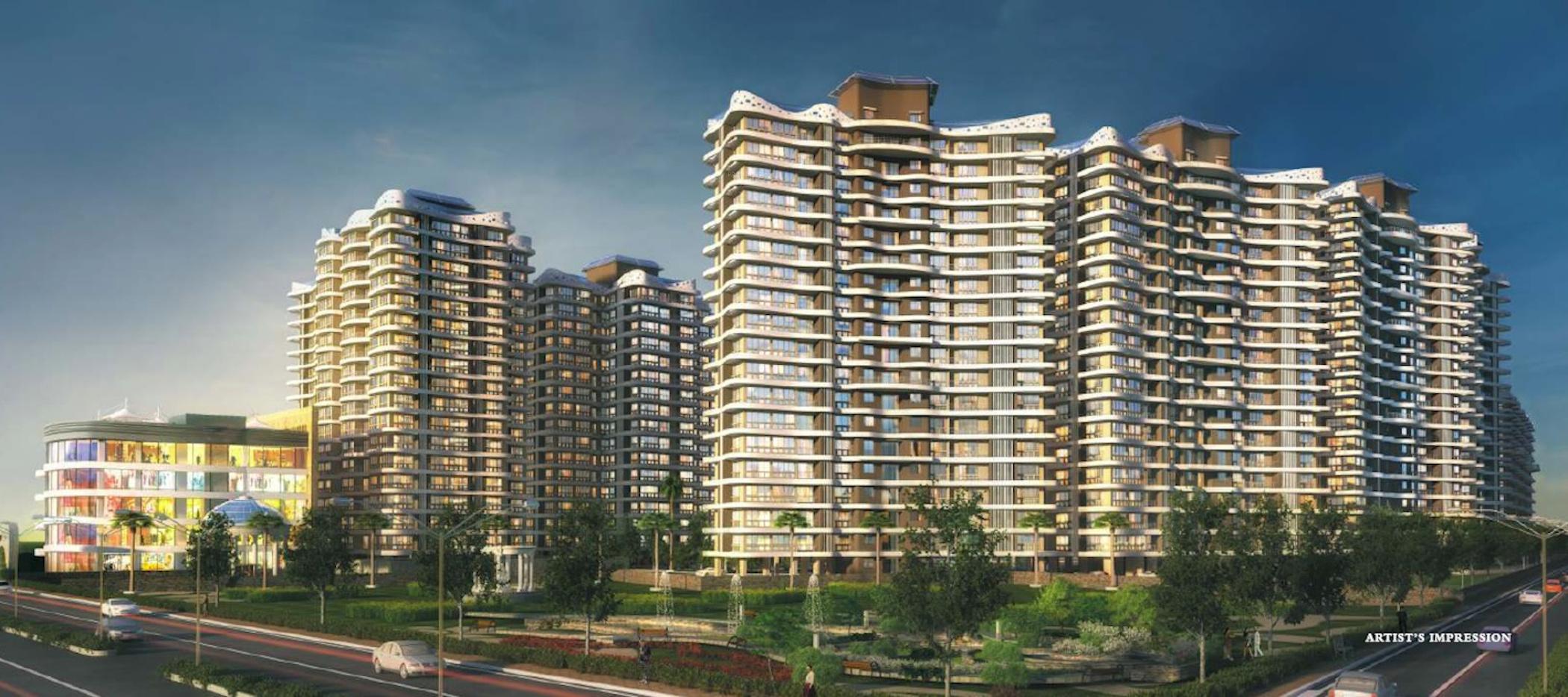  rain-forest Elevation