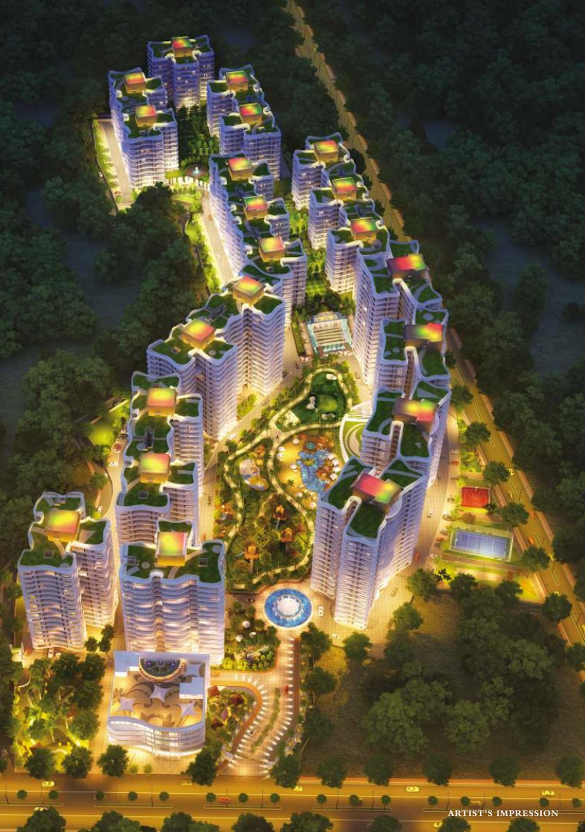  rain-forest Elevation