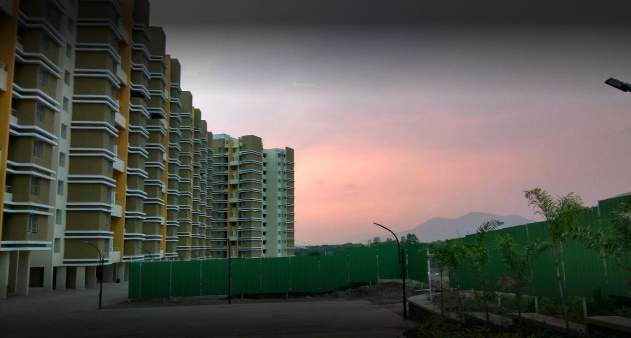  daffodils-avenue Elevation