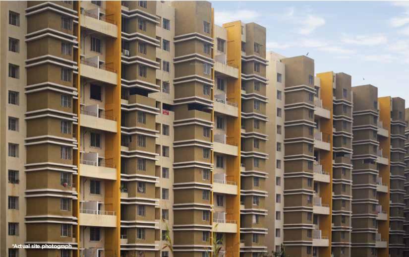  daffodils-avenue Elevation