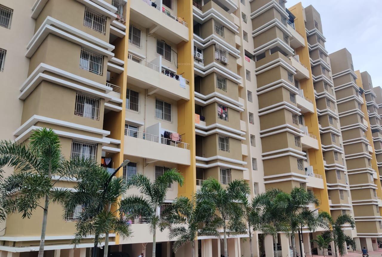  daffodils-avenue Elevation